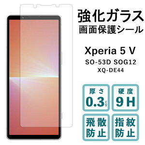 Xperia 5 V SO-53D SOG12 XQ-DE44 KXtB Xperia5 V tی SO53D XQDE44 یtB dx9H wh~ Uh~  fBXvC V[ tB GNXyA