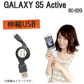 楽天市場 Galaxy Sc02 充電器の通販