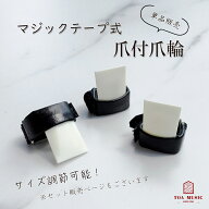 【 マジックテープ式 爪付爪輪 】琴 箏 教材用 フリーサイズ 調節可能 爪付き爪輪 生田流 単品