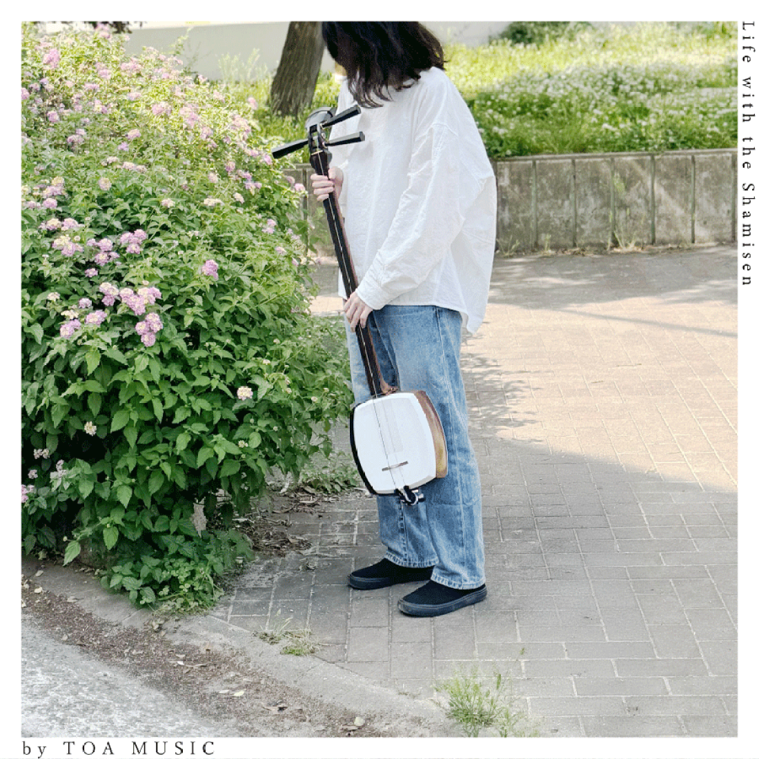 楽天市場 | 三味線shop TRES LINEAS - Life with the Shamisen