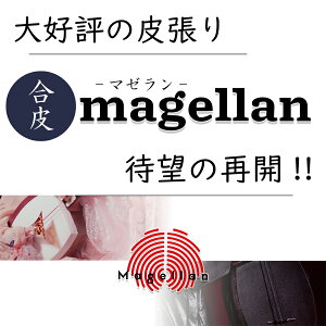 璣 y 璣q}[r zSEwEnS / Ìy O -magellan-
