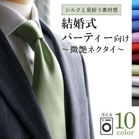 【結婚式や式典に最適】 ネクタイ 無地 カラーネクタイ 結婚式 親族 友人 参列 披露宴 二次会 入学式 卒業式 パーティー マイクロポリエステル メンズネクタイ ブラック シルバー ブルー レッド 紫 赤 青 おしゃれ [M便 1/5] 新郎 色 お色直し
