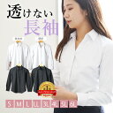 【 即日配送】【透けない 長袖】 レディース ブラウス ワイシャツ S 6L ビジネス 送料無料 事務服 フォーマル 仕事 綿…