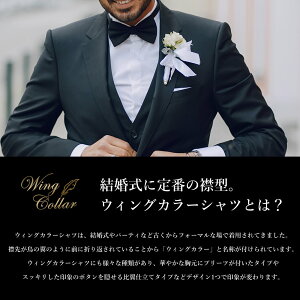 楽天市場 デニム調 ウイングカラーシャツ ワイシャツ メンズ 新郎 二次会 ウイング フォーマル ウイング モーニング カジュアルウェディング 結婚式 二次会 フォトウェディング 前撮り パーティー ゲスト デニム ブルー 青 ネイビー Instagram インスタ映え 楽天市場 デニム調 ウイングカラーシャツ ワイシャツ メンズ 新郎 二次会 ウイング フォーマル ウイング モーニング カジュアルウェディング 結婚式 二次会 フォトウェディング 前撮り パーティー ゲスト デニム ブルー 青 ネイビー Instagram インスタ映え