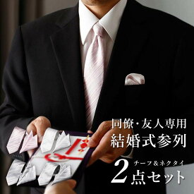 【友人・同僚専用 結婚式 参列 2点セット】 ネクタイ チーフ セット シルバー ホワイト 白 パステル フォーマル メンズ 洗える 二次会 参列 友人 同期 同僚 会社 親友 礼装 白 ストライプ ウォッシャブル おしゃれ 送料無料 [M便 1/6]