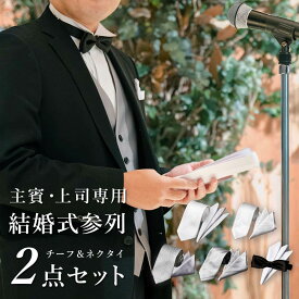 【主賓 上司 結婚式 参列 2点セット】 ネクタイ 結婚式 主賓 上司 礼装 フォーマルネクタイ 二次会 パーティー 洗えるネクタイ ホワイト 白 フォーマル レギュラー 新郎 友人 式 冠婚葬祭 卒業式 入学式 即日出荷 [M便 1/6] メンズ チーフ