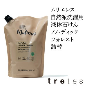 GX Rh p t ΂ mfBbN tHXg lփ^Cv NORDIC FOREST