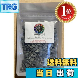 【楽天ランキング1位獲得】【送料無料】古代ソマチッド 石タイプ100g ソマチッド SOMACHI ソマチ