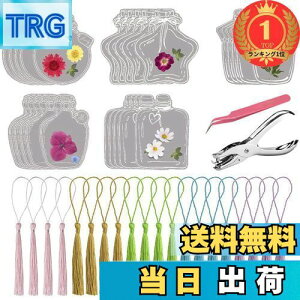 yzyyVLO1ʊlzDELUXEFOX Lbg 20Zbg hCt[̂   ԃLbg    ubN}[N  {g A