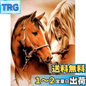 yzReofrey _Ch̊G n, _ChA[g NXXeb` Lbg , Lbg Sʓ\t^Cv r[YA DIY |Lbgz[ Xg CXg[ 