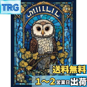 yzReofrey _Ch̊G _ChA[g NXXeb` Lbg tNE, Lbg Sʓ\t^Cv r[YA DIY |Lbgz[ Xg CXg
