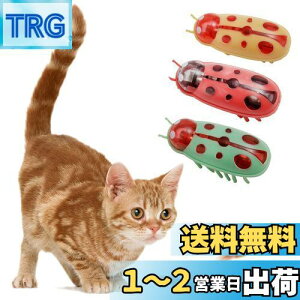 yzKASELIN d  3Zbg drL񂨂 dCybĝ  L ߋ lV QԂ@\ Cat'sbug! ĂƂ ~jdqJugV LpC^N