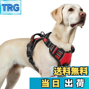 yz[ŐV^n[lX]rabbitgoo  n[lX p ^/^/^n[lX h~ TCY\ A^}ʂ Ԕˍ Ȃ ʋC Pݖh~ s