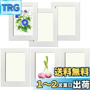 yzHaojiaho q̊G Wp tHgt[ 6Zbg 11.7*16.8cm  A[gt[ yیtB + Ǌ|pSV[g tz G拳 G W y[p[tHgt[ 