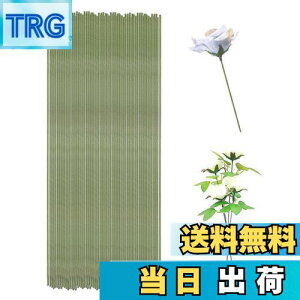 yzKDSSYFT Ԃ̌s 100{ 0.7mm t[DIYp nC[  |pLbg ԑ Mtgp Ȃ\ t[C[ `f (O[)