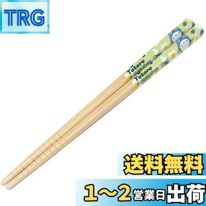 yzXP[^[(Skater)  | 16.5cm gg fCW[ Wu { ANT2