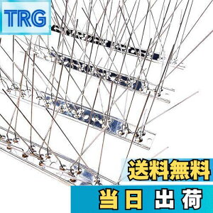 yzONESORA  悯 100%XeX o[hs ϋv y 3mz 悯 XpCN 悯 R LhS JX悯 ̃tQ΍  x_ J[|[g  Ԍ A