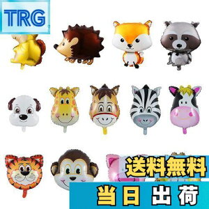 yzKesote D o[  A~ 13Zbg  CI a o[Xf[ Rt