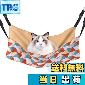 yzL nbN Blueekin LbgnbN q\ |GXe 56cm x 46cm ω׏d10KG 傫 ybg xbh ˂nbN P[Wp ʋC ڂ Vя v 