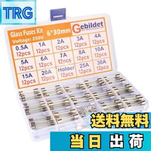 yzKiligen 168 6 * 30mm KX q[Y (0.5A/1A/2A/3A/4A/5A/6A/7A/8A/10A/15A/20A/25A/30A ̃q[Ye12Â)+12̃q[Yz_[