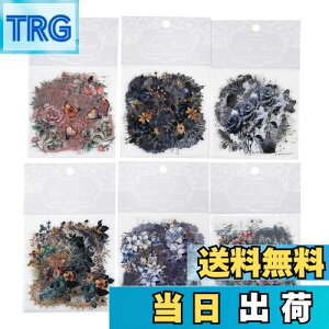 yzAlideco 180 V[ t[NV[ R[W f y[p[ fގ [X[gsAXebJ[ g  Ԃ CO ؍ V[ Cpm[gfށAL