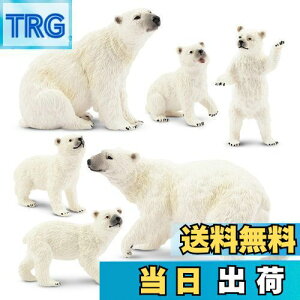 yzTOYMANY 6PCStBMA VN}tBMAZbg zbLNO}tBMA kɌF eq ~ Aȓ͌^ ~jf lC  ߋ av[g NX