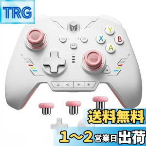 【送料無料】PC コントローラー、BIGBIG WON Rainbow 2 SE ワイヤレス コントローラー モーション コントロール、ホール効果トリガー、12 ビット ADC、ジョイスティック 3 セット、4方向十字キー、8