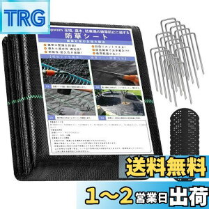 yzSuptopwxm hV[g (1×20m)yǔŁz ڂV[g Œs50{ 50t  x  ϋv G΍  ʘH  EbhfbL̉Ȃ Gh~ ub