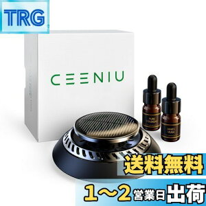 yzCEENIU ԗpF J[pi 2025V^ A~ \[[] É tXYVR GbZVIC2{t F21 J[tOX Car Freshener