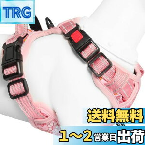 yz[2025ŐV^n[lX]BaoCheng p ^/^/^n[lX p h~ A^}ʂ P݌y TCY\ Ԕˍ Ȃ ʋC ȒP