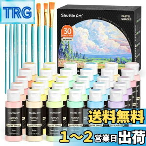 yzShuttle Art ANG̋ pXeJ[ 30F G̋Zbg 60ml yCguV10{t 킢 _炩F LoX///KX/Z~bNɕ` G ރZbg 