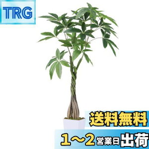 yzRuwenus tFCNO[ lHϗtA ϗt  G} C ypL K̖؁z98cm  ItBX A A