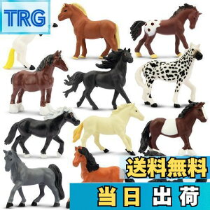 yzTOYMANY tBMA ~jntBMA ~jtBMAZbg AȓtBMA 12PCS nu nf z[X q_ ~jf lC  ߋ a