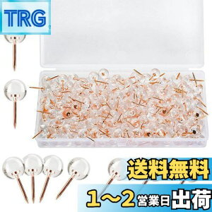 yzEUSTACE e s 100 т傤  {[ ߋ ەe iB AeB[N \t@[ V[Y hA  9.5 x 20mm [{bNX