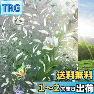 yzRabbitgoo  ߂V[g XehOX V[ ͂鑋KXtB O猩ȂptB ڒܕsv ߂ UVJbgO΍ ȑ Ռf