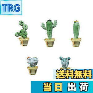 �y���������zMollytek ���킢������K���X�׍H�K ���X �T�{�e�� �K���X �u�� �~�j ��l�� �����K���X �u�� �J�N�^�X �K���X ���A�� �ԓ��u���� 5���� �B�e ������ ���蕨