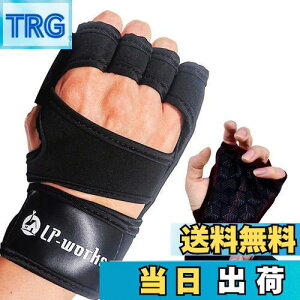 yzLP-works g[jOO[u ؃g EFCgteBO ی Zp`~ epbh ʋC tBbg W _x ubN LTCY