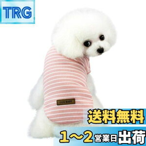 yzKingsie  TVc ėp ̕  XgCv xXg hbOEFA ^ L ybg tďH o U (L, sN)