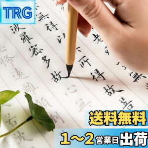 yzʎSo ʌopZbg(20ʌo{My) 蕶Xy[Xt Ȃ菑 {t 傫TCY67cm×35cm s[?5cm