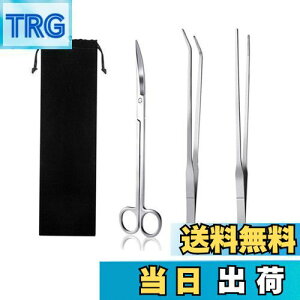 yzYINKE  sZbg & nT~ 3_Zbg XeX p ֗ @\ ٗp p[ܕt