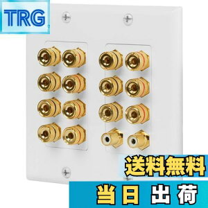 【送料無料】Fosmon ホームシアタースピーカー壁プレートコンセント オーディオ分配コンセントパネル銅 バナナプラグバインディングポスト スピーカーサウンドオーディオコネクタ挿入ジャ