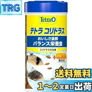 yzeg (Tetra) RhX 120g RhXꐱ̎H oXh{H Mы [`  GT