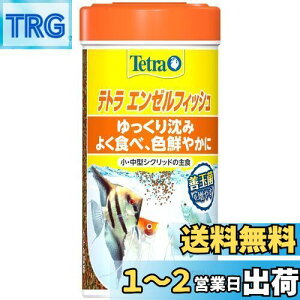 yzeg (Tetra) G[tBbV 100g Mы̎H LCۂ H׎ct Mы GT t[N