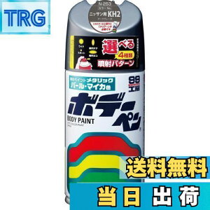 yz\tg99(SOFT99) 99H[ CyCg {f[y N[253 300ml NISSAN(jbT) KH2 _[NO[M ԃ{fBAop[AA؍ 08253