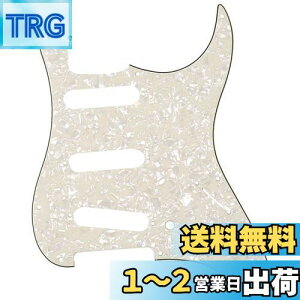 yzMusiclily 11 SSS XggsbNK[hFender USA/LVRX^_[hSTXggLX^[GLM^[pA4Pp[`gp[