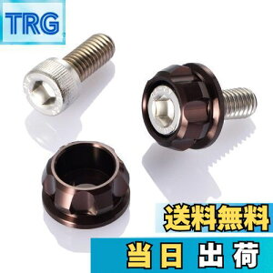 yzfCgi(Daytona) PREMIUM ZONE(v~A][) oCNp io[v[g {g M6×15mm z_[Zbg 2 uY 91954