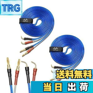 yzyoinz 2{1g LRZbg yoiivOHρz by yWYVERN AUDIOz 24kbL vO Xs[J[ P[u in_ς By WYVERN AUDIO (oiivO̐jvO / 