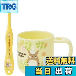 yzXP[^[(Skater) X^ht Rbv uVZbg uV Rbv ƂȂ̃gg X^WIWu KTB5