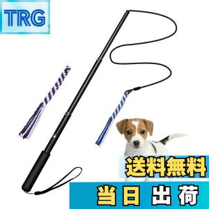 yzpފƂ [v   hM[} Pp p ފƌ^ OߐLkł 2pt 3`5Jɔzς