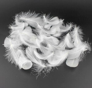 yzKingsie VR H 100Zbg tFU[V[ HV[ |f  EGfBO o (zCg)